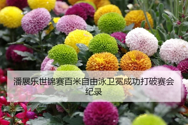 潘展乐世锦赛百米自由泳卫冕成功打破赛会纪录