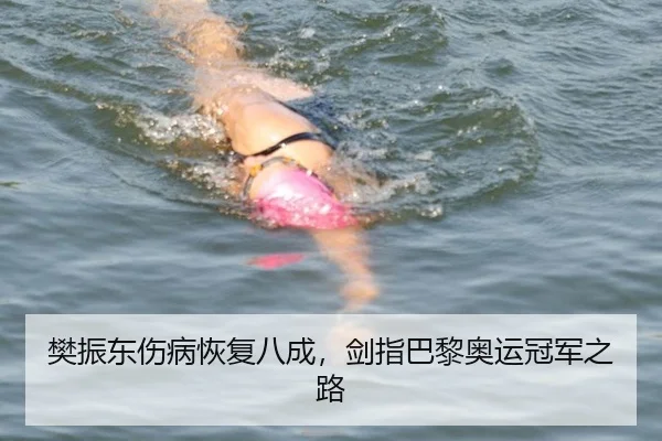 樊振东伤病恢复八成，剑指巴黎奥运冠军之路